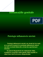 Inflamatiile Genitale