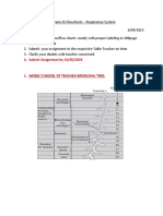 Respiratory System - Charts and Graphs 2023