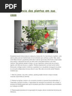 Importância das plantas em sua casa