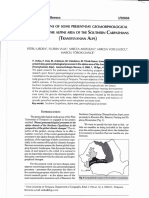 Urdea Et Al, 2004.GeomSlov