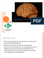 Neuroanatomia