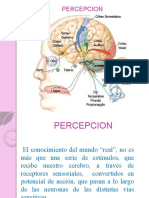 Percepcion Visual