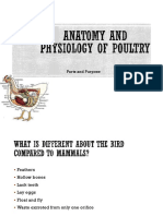 Anatomy and Physiology of Poultry