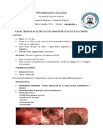 Colitis Ulcerosa Caracteristicas Clinicas y de Imagenes