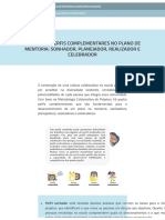 Os Quatro Perfis Complementares No Plano de Mentoria: Sonhador, Planejador, Realizador E Celebrador