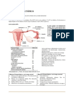 Embarazo ectópico: diagnóstico y tratamiento