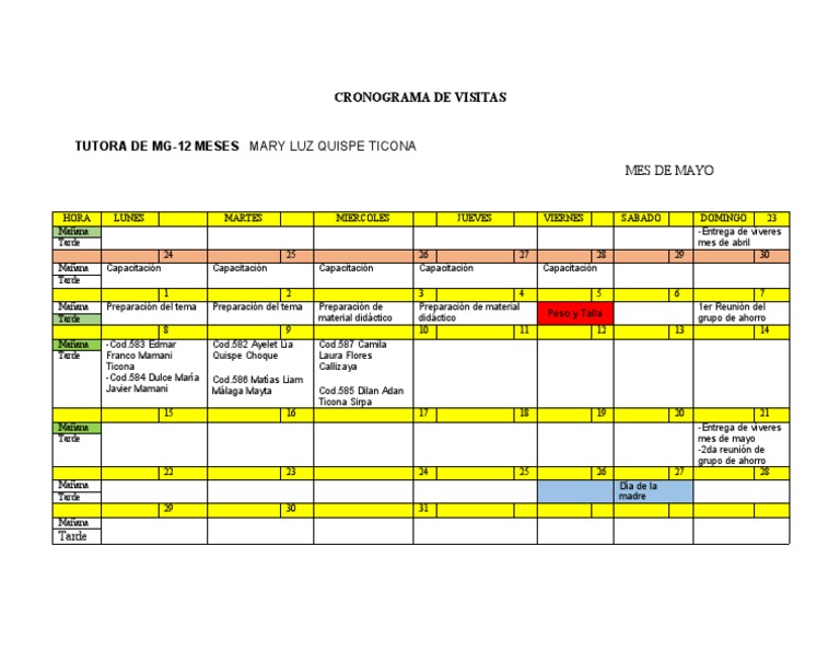 Cronograma de Visitas PDF