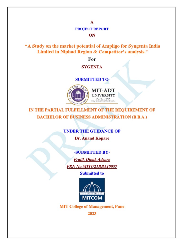 Pratik RM Project Report | PDF | Methodology | Quantitative Research