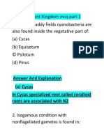 Besides Paddy Fields Cyanobacteria Are Also Found Inside The Vegetative Part Of: (A) Cycas (B) Equisetum © Psilotum (D) Pinus