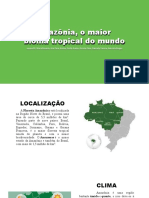 Amazônia, o Maior Bioma Tropical Do Mundo