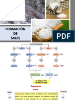 Formación de Sales Iem B 2022