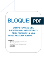 Bloque Ii Cursillo Obstetricia 2023