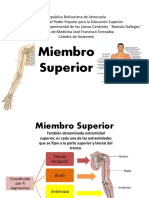 Miembro Superior