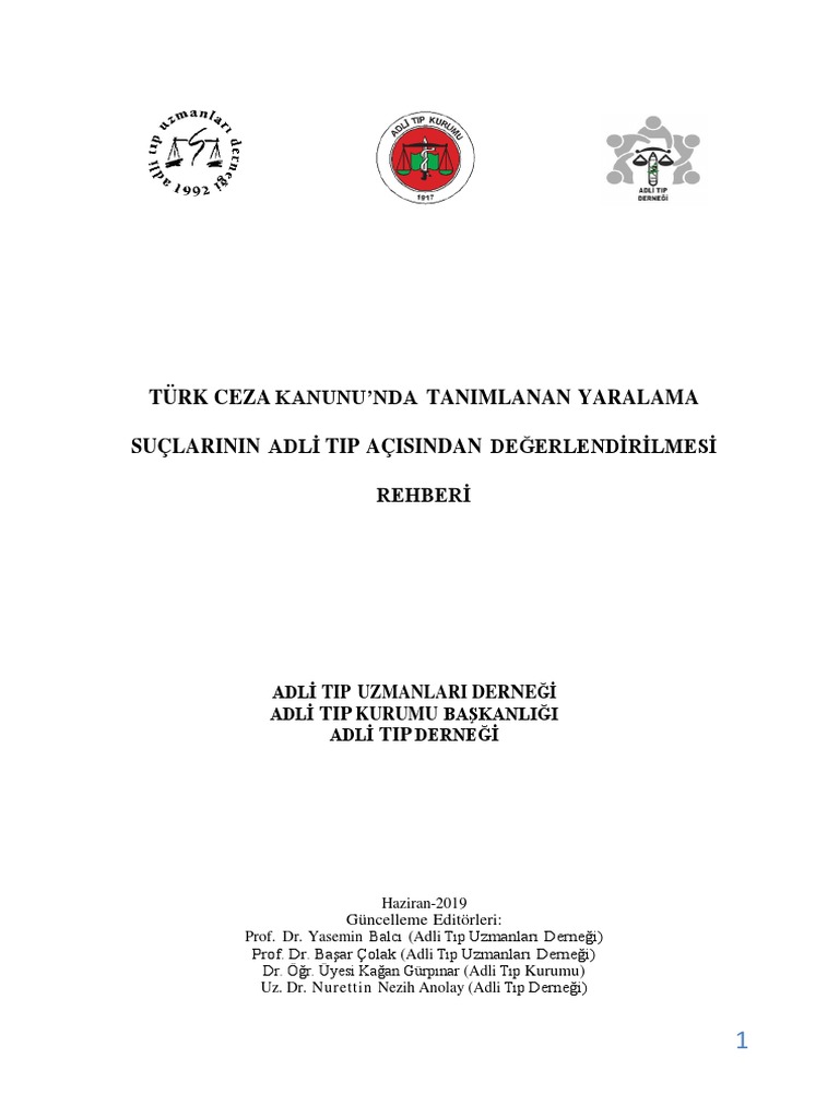 TCK Yaralama 2019 | PDF