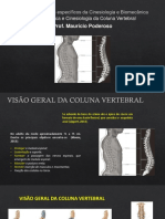 Prof. Maurício Poderoso: Biomecânica e Cinesiologia Da Coluna Vertebral