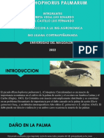 Enfermedad PC Introduccion PDF