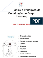 Planos de Construcao Do Corpo