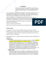 Colageno: El Colágeno Representa Alrededor de Un 20 % de La Dentina