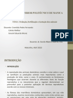 Ovulação, Fertilização e Gestação dos animais