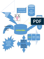 Mapa Mental Plasticidad Cerebral