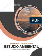 Análisis Ambiental Puente Paso Real (Tecnología y Medioambiente)