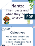 Plants: Their Parts and What They Need To Grow
