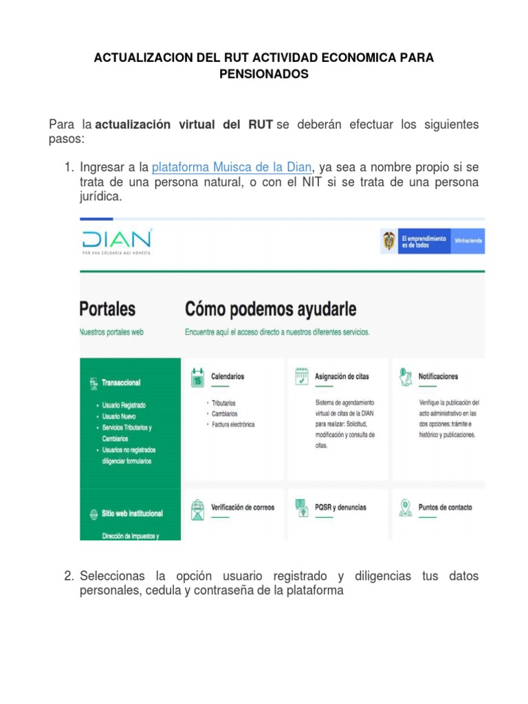Pasos para Realizar La Actualizacion Del Rut de Acuerdo A Tu Actividad ...