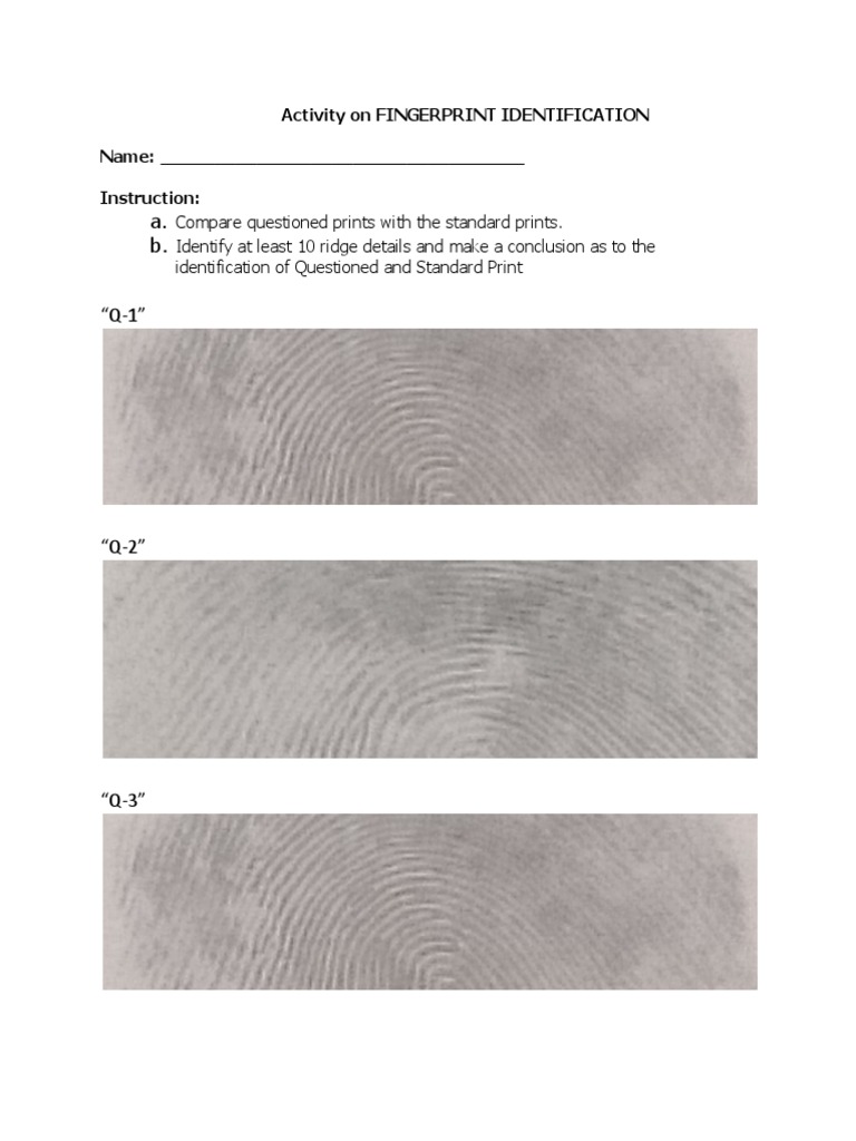 Activity On Fingerprint Identification PDF