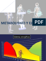 Metabolismo y Ejercicio