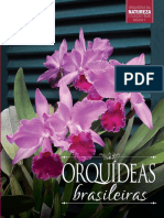 Orquídeas Brasileiras Vol. 1 Coleção Rubi