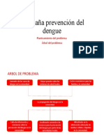 Campaña Prevención Del Dengue