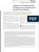 Synthetic Conjugates of Ursodeoxycholic Acid Inhibit Cystogenesis in Experimental Models of Polycystic Liver Disease