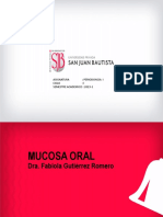 Mucosa Oral.2023