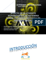 Presentacion Glutamato