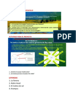 Actividades de Hoy