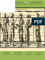 Plan de Formación Continua General: Lenguas Clásicas Gramática de La Lengua Española