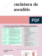 Nomenclatura y clasificación de las vasculitis