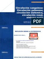 Circulación sanguínea: Circulación pulmonar, circulación sistémica, circulación renal, sistema porta