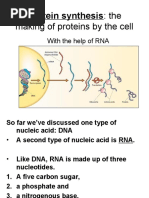 Topic 12 - Protein Synthesis