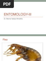 Entomology-Iii: Dr. Marina Vaidya Shrestha