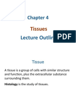 Tissues: Lecture Outline