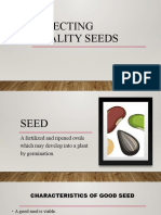 Selecting Quality Seeds