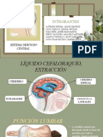 Sistema Nervioso Central