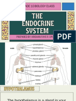W2 - The Endocrine System Lesson