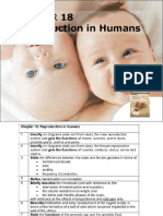 Reproduction in Humans