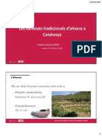 Les Varietats Tradicionals D'olivera A Catalunya1678788659910