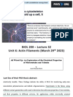 Lecture 32 - Actin Filaments - Post-Lecture