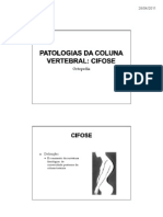 Patologias Da Coluna Vertebral - PPT (Modo de Compatibilidade