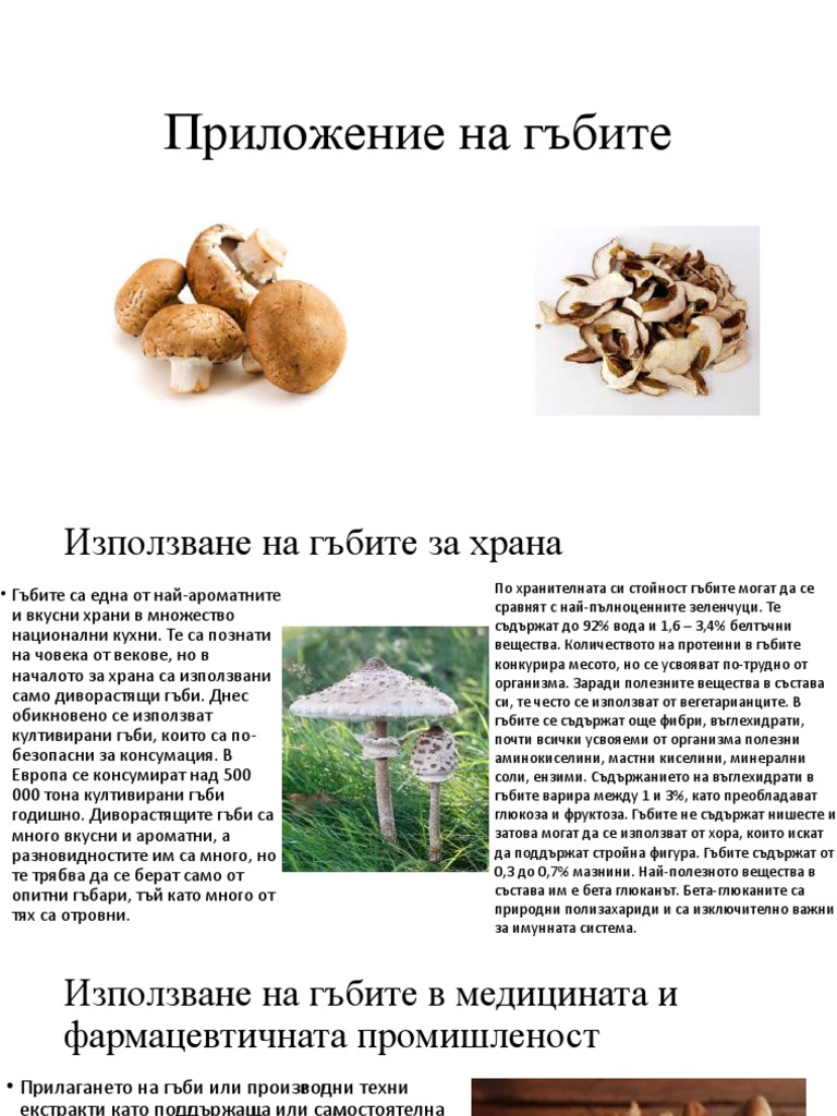 Приложение на гъбите | PDF