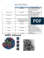 Enfermedades Por Virus